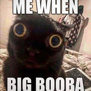 Meet your Posher, Autumn